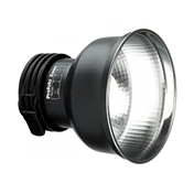 PROFOTO Zoom Reflector (standard, delivered with heads)