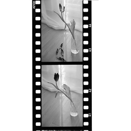 ADOX SCALA 50 BW 135/36
