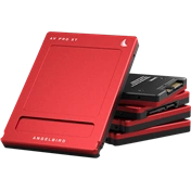 ANGELBIRD AV PRO XT 500GB