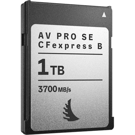 ANGELBIRD CFEXPRESS 4.0 TYPE B AV PRO SE CFEXPRESS B V4 MK2, R3700/W2300 I SR3500/SW2100 (4.0) 1TB