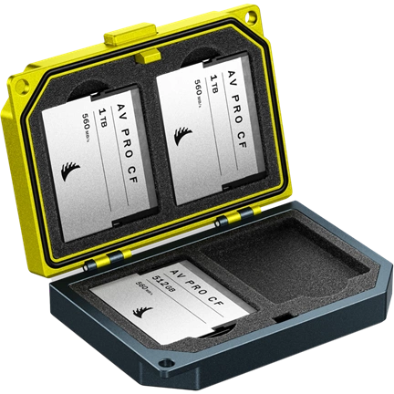 ANGELBIRD MEDIA TANK CFAST CARDS