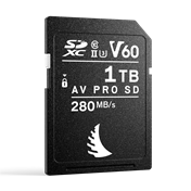 ANGELBIRD SD AV PRO MK2 R280/W160 (V60) 1TB | 1 PACK