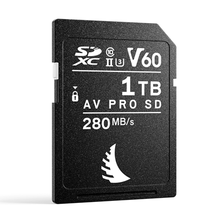 ANGELBIRD SD AV PRO MK2 R280/W160 (V60) 1TB | 1 PACK