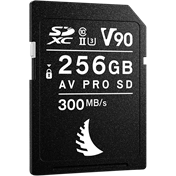 ANGELBIRD SD AV PRO MK2 R300/W280 (V90) 256GB | 1 PACK