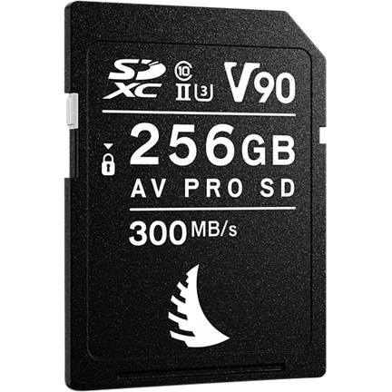 ANGELBIRD SD AV PRO MK2 R300/W280 (V90) 256GB | 1 PACK