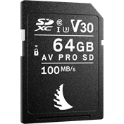 ANGELBIRD SD AV PRO SDXC, SD 6.1, UHS-I, R100/W52 (V30) 64GB
