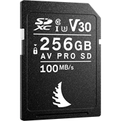 ANGELBIRD SD AV PRO SDXC, SD 6.1, UHS-I, R100/W92 (V30) 256GB