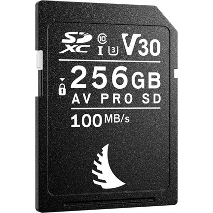 ANGELBIRD SD AV PRO SDXC, SD 6.1, UHS-I, R100/W92 (V30) 256GB