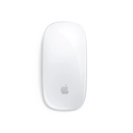 APPLE Magic Mouse