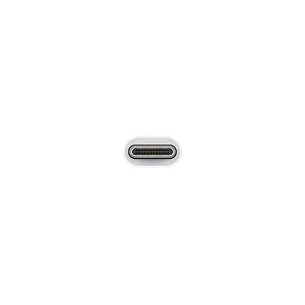 APPLE USB-C to USB Adapter