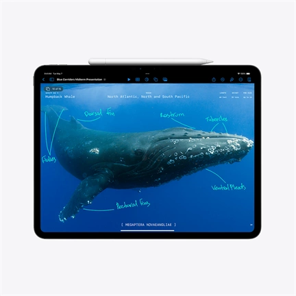 Apple 11-inch iPad Pro (M4) WiFi 1TB with Standard glass - Ezüst