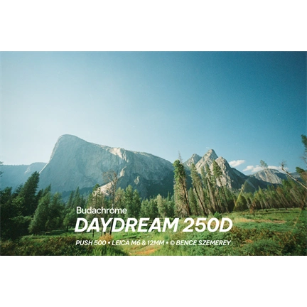 Budachrome DAYDREAM (ISO 250 • DAYLIGHT • 35MM)