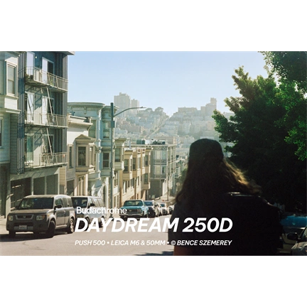Budachrome DAYDREAM (ISO 250 • DAYLIGHT • 35MM)