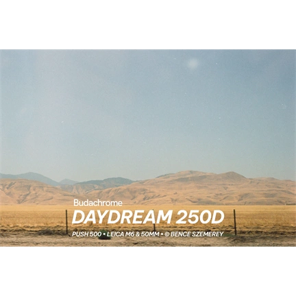 Budachrome DAYDREAM (ISO 250 • DAYLIGHT • 35MM)