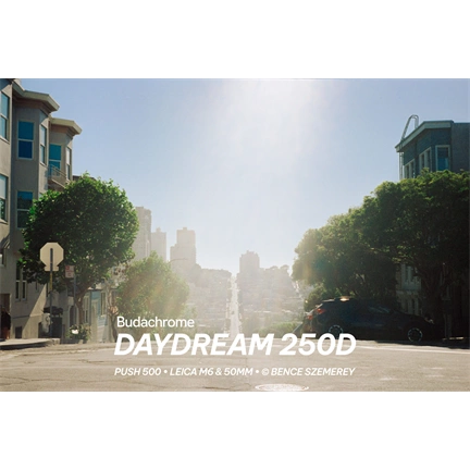 Budachrome DAYDREAM (ISO 250 • DAYLIGHT • 35MM)