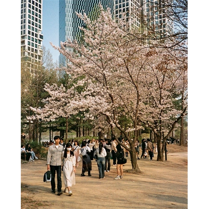CANDIDO 200 COLOUR 135 FILM 36 EXP