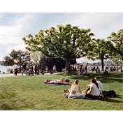 CANDIDO 400 COLOUR 135 FILM 36 EXP