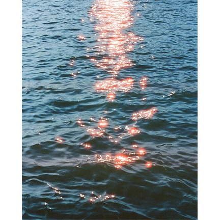 CANDIDO 800 COLOUR 135 FILM 36 EXP
