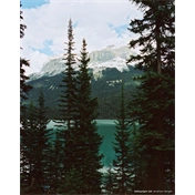CINESTILL 50Daylight színes negatív film 120