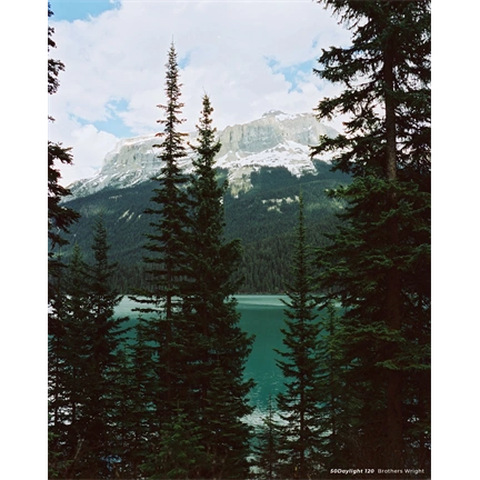 CINESTILL 50Daylight színes negatív film 120
