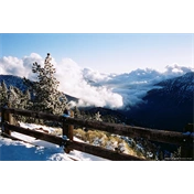 CINESTILL 50Daylight színes negatív film 135/36