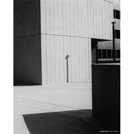 CINESTILL BwXX 120 (Double-X) fekete-fehér negatív film, ISO 250