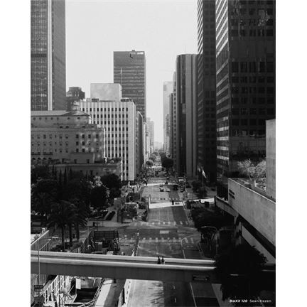 CINESTILL BwXX 120 (Double-X) fekete-fehér negatív film, ISO 250
