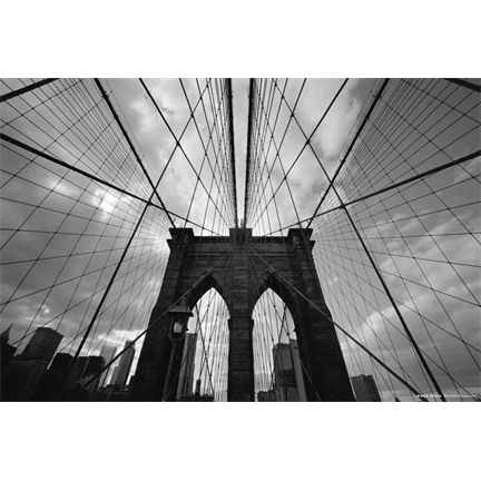 CINESTILL BwXX (Double-X) fekete-fehér negatív film ISO 250 135/36