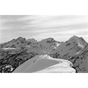 CINESTILL BwXX (Double-X) fekete-fehér negatív film ISO 250 135/36