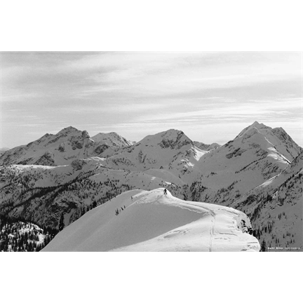 CINESTILL BwXX (Double-X) fekete-fehér negatív film ISO 250 135/36