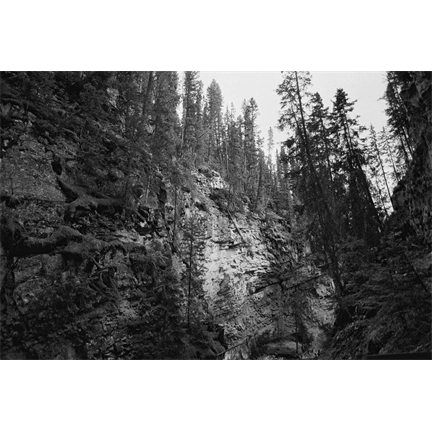 CINESTILL Df96 “Developer&Fix” Fekete-Fehér Monobath – Porkoncentrátum