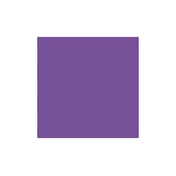 COLORAMA 1.35x11m püspöklila / royal purple