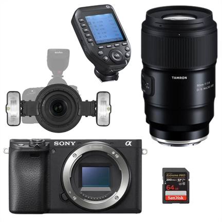 DENTAL KIT (Belépő 2)