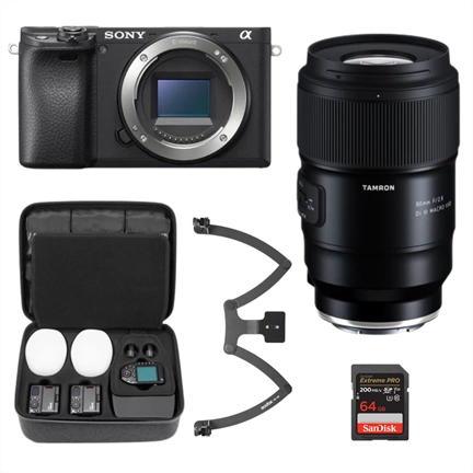 DENTAL KIT (Belépő 3)