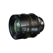 DZOFILM Vespid 75mm T2.1 FF (PL mount)
