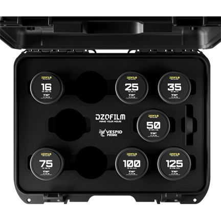 DZOFILM Vespid Prime 16/25/35/50/75/100/125mm PL