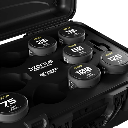 DZOFILM Vespid Prime 16/25/35/50/75/100/125mm PL