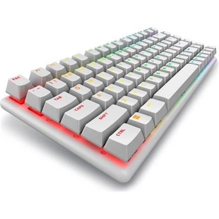 Dell Alienware Pro Wireless gaming billentyűzet 75% szélesség, mechanikus kapcsolók, angol (US), Lunar Light