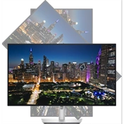 Dell UltraSharp U3225QE monitor 31,5" 4K 120Hz Thunderbolt