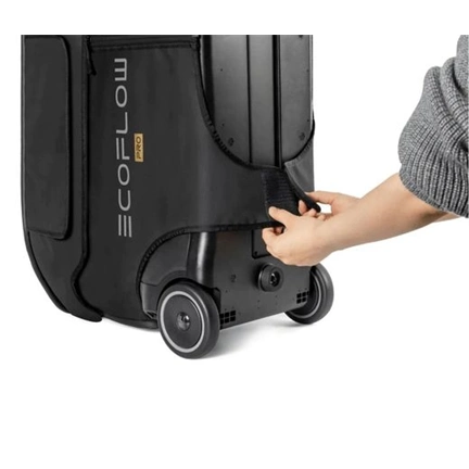 ECOFLOW KIEG DELTA PRO BAG