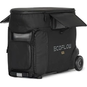 ECOFLOW KIEG DELTA PRO BAG