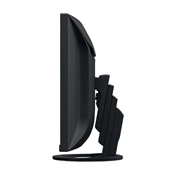 EIZO FlexScan EV3895 fekete