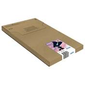 EPSON Multipack 502XL 4-colours EasyMail
