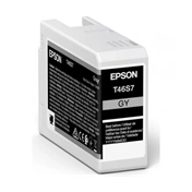 EPSON T46S7 25ml Ultrachrome Pro 10 Gray