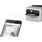 EPSON WorkForce Pro WF-C529RDW
