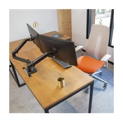 ERGOTRON LX Desk Dual Direct Arm (matte black)