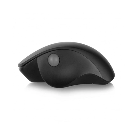 Ewent EW3151 Wireless Ergonomic mouse Black