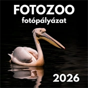 FOTOZOO fotópályázat - nevezési jegy