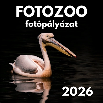 FOTOZOO fotópályázat - nevezési jegy