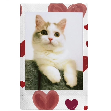 FUJIFILM Instax Mini Film Glossy "Heart Sketch" (10lap)